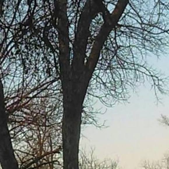 Meet your Posher, Alexa - Picture 1 of 1